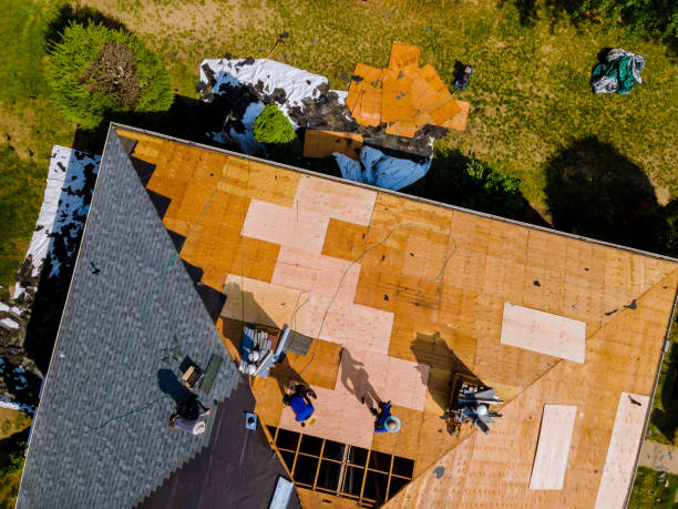 Best Storm Damage Roof Repair  in Springfield, IL
