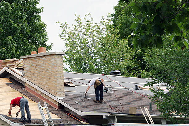 Best Local Roofing Companies  in Springfield, IL